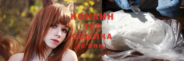 СК Каменск-Шахтинский