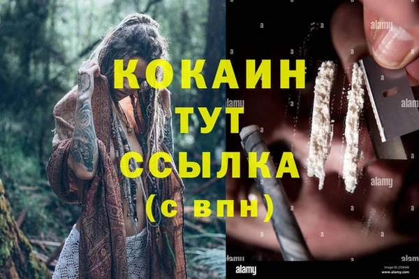 СК Каменск-Шахтинский