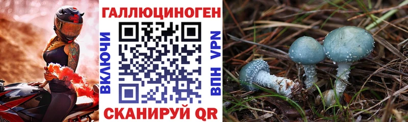 Галлюциногенные грибы прущие грибы  Купить  Якутск 